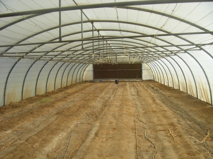 انفاق حديثة